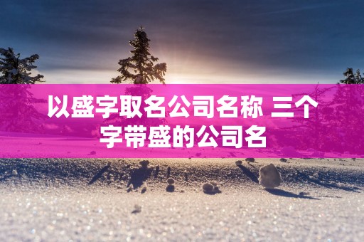 以盛字取名公司名称 三个字带盛的公司名