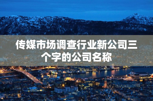 传媒市场调查行业新公司三个字的公司名称