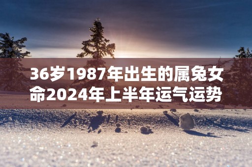 36岁1987年出生的属兔女命2025年上半年运气运势