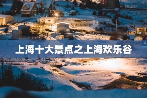 上海十大景点之上海欢乐谷