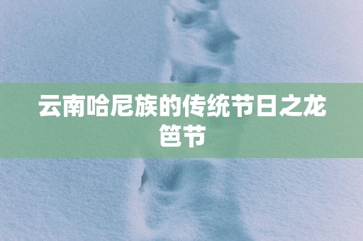 云南哈尼族的传统节日之龙笆节