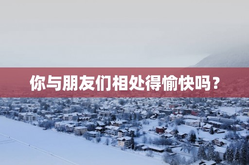 你与朋友们相处得愉快吗？