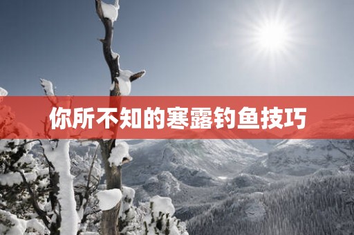 你所不知的寒露钓鱼技巧
