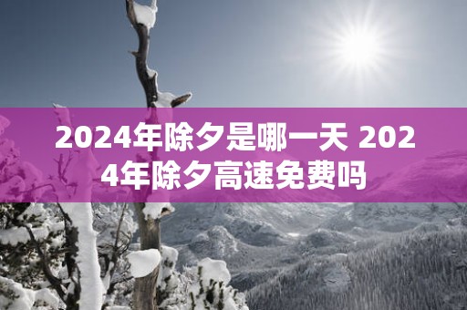 2025年除夕是哪一天 2025年除夕高速免费吗