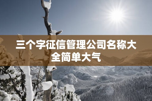 三个字征信管理公司名称大全简单大气
