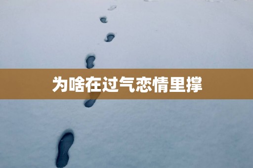 为啥在过气恋情里撑