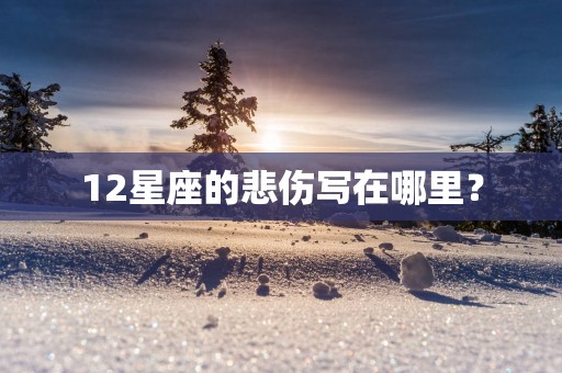 12星座的悲伤写在哪里？