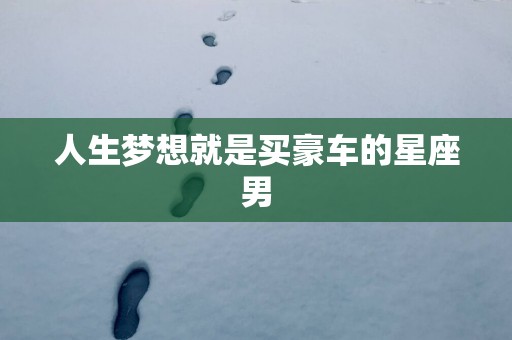 人生梦想就是买豪车的星座男
