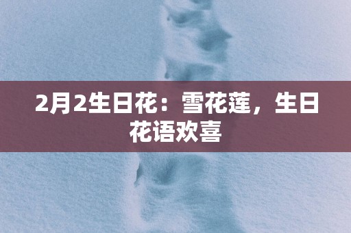 2月2生日花：雪花莲，生日花语欢喜