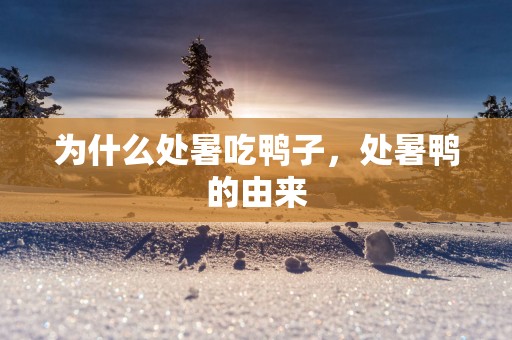 为什么处暑吃鸭子，处暑鸭的由来