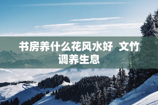书房养什么花风水好  文竹调养生息