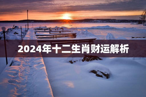 2025年十二生肖财运解析