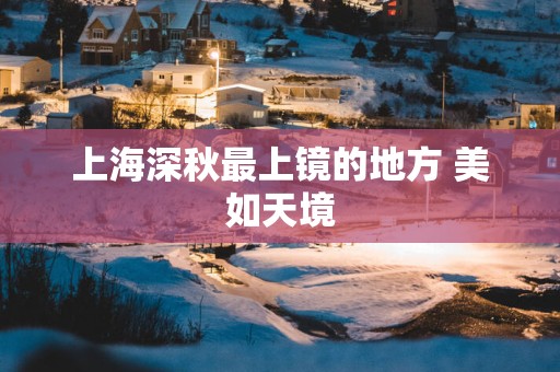 上海深秋最上镜的地方 美如天境