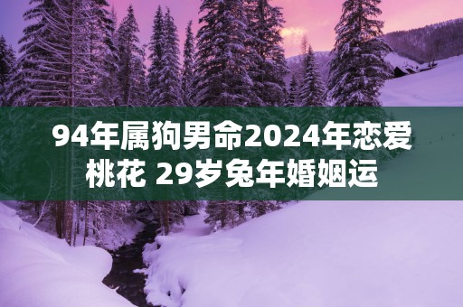 94年属狗男命2025年恋爱桃花 29岁蛇年婚姻运