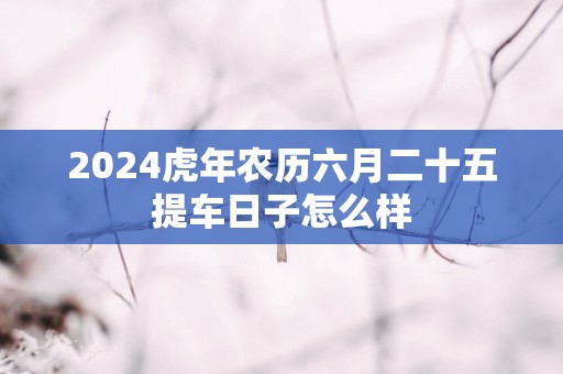 2025蛇年农历六月二十五提车日子怎么样