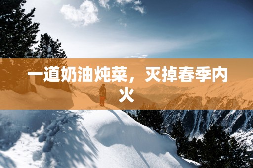 一道奶油炖菜，灭掉春季内火