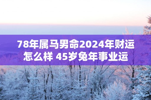 78年属马男命2025年财运怎么样 45岁蛇年事业运