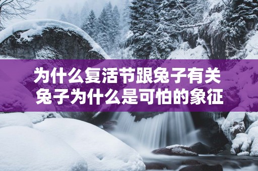 为什么复活节跟兔子有关 兔子为什么是可怕的象征
