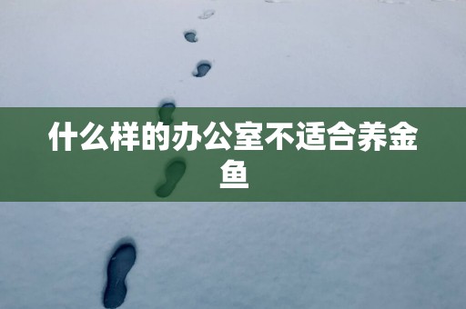 什么样的办公室不适合养金鱼