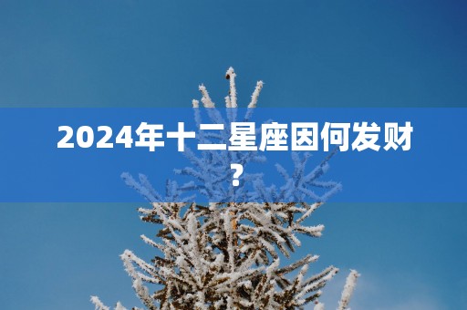2025年十二星座因何发财？