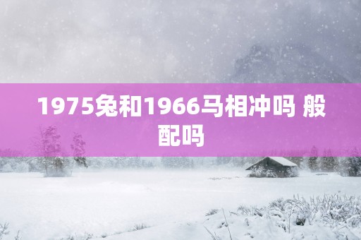 1975兔和1966马相冲吗 般配吗