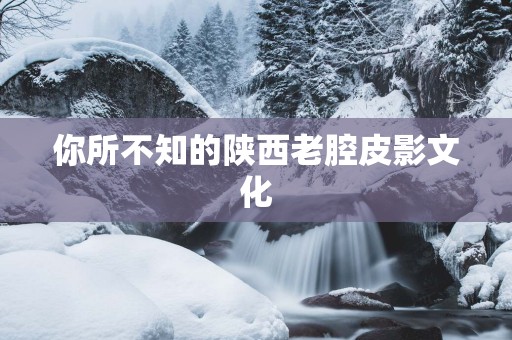 你所不知的陕西老腔皮影文化