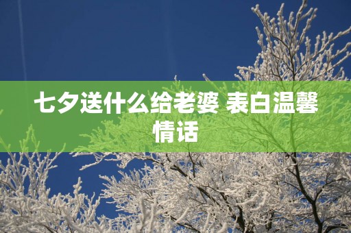七夕送什么给老婆 表白温馨情话