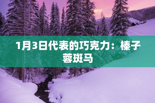 1月3日代表的巧克力：榛子蓉斑马