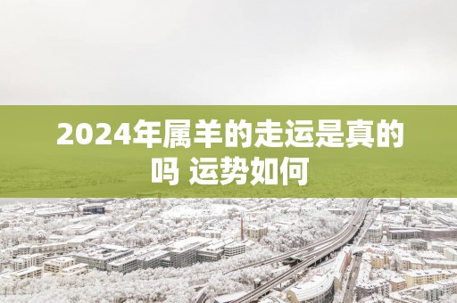 2025年属羊的走运是真的吗 运势如何