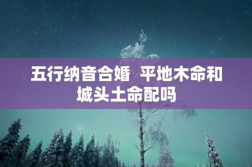 五行纳音合婚  平地木命和城头土命配吗