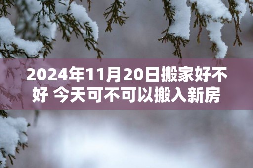 2025年11月20日搬家好不好 今天可不可以搬入新房