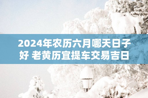 2025年农历六月哪天日子好 老黄历宜提车交易吉日