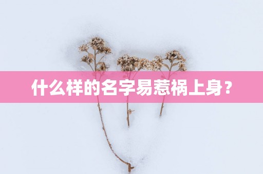 什么样的名字易惹祸上身？