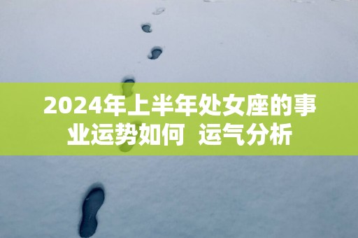 2025年上半年处女座的事业运势如何  运气分析