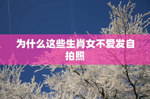 为什么这些生肖女不爱发自拍照