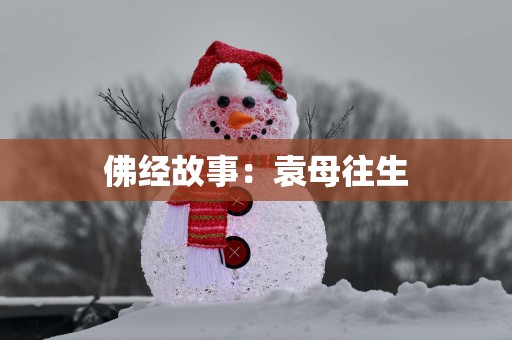 佛经故事：袁母往生