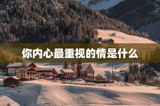 你内心最重视的情是什么