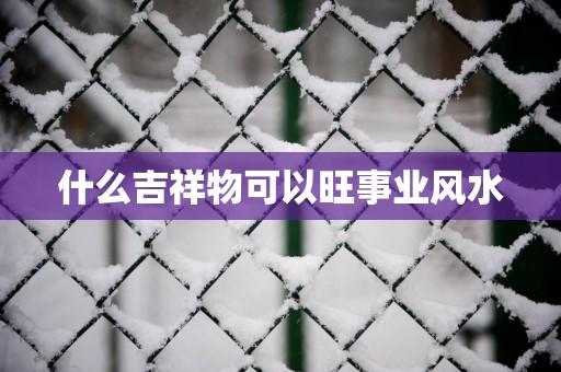 什么吉祥物可以旺事业风水