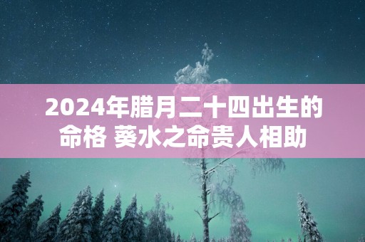 2025年腊月二十四出生的命格 葵水之命贵人相助