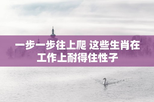 一步一步往上爬 这些生肖在工作上耐得住性子