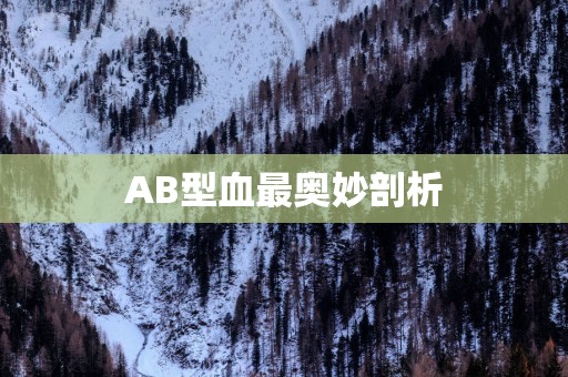 AB型血最奥妙剖析