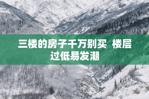 三楼的房子千万别买  楼层过低易发潮
