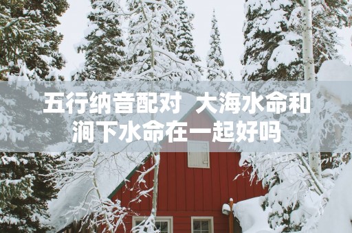 五行纳音配对  大海水命和涧下水命在一起好吗