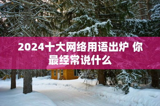 2025十大网络用语出炉 你最经常说什么