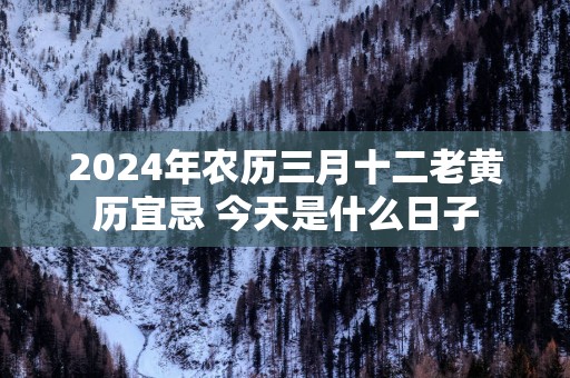 2025年农历三月十二老黄历宜忌 今天是什么日子