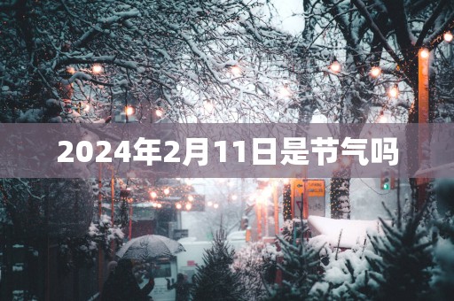 2025年2月11日是节气吗