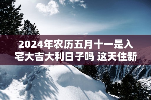 2025年农历五月十一是入宅大吉大利日子吗 这天住新房会顺利吗