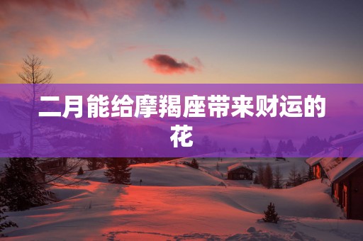 二月能给摩羯座带来财运的花