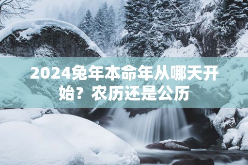 2025蛇年本命年从哪天开始？农历还是公历