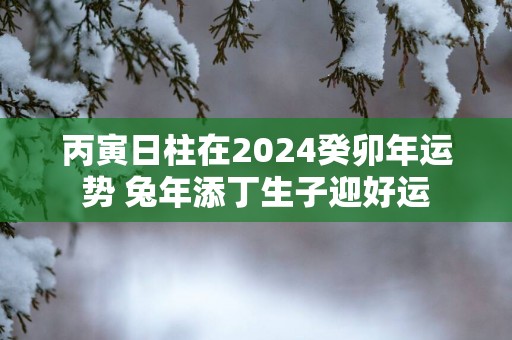 丙寅日柱在2025癸卯年运势 蛇年添丁生子迎好运